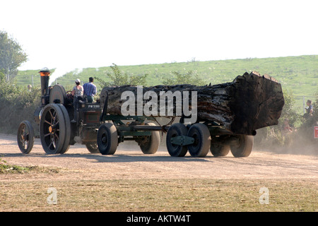 Arbeiten Dampf- und Zugmaschine zieht Baumstamm während der Kundgebung am Great Dorset Steam Rally 2005 Stockfoto
