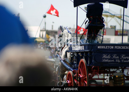 Percheron Dray am Great Dorset Steam Rally 2005 ziehen Stockfoto