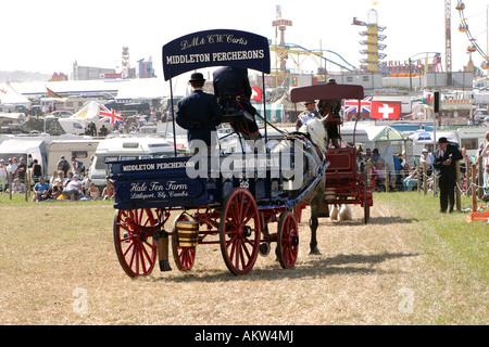 Percheron Dray am Great Dorset Steam Rally 2005 ziehen Stockfoto