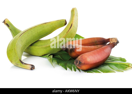 Zwei Bananen und Bündel rote Bananen auf Blatt, Nahaufnahme Stockfoto