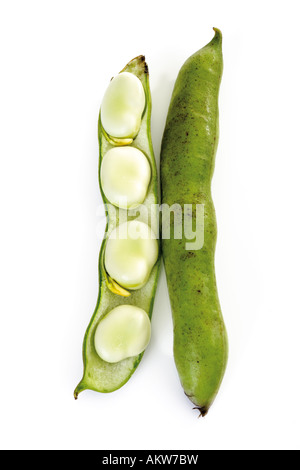 Dicke Bohnen, close-up Stockfoto