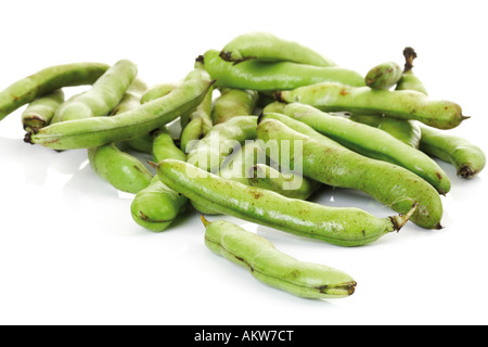 Dicke Bohnen, close-up Stockfoto