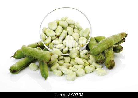 Dicke Bohnen, close-up Stockfoto