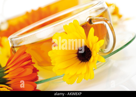 Ringelblume Tee und frischen Blumen, close-up Stockfoto