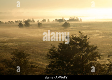 Morgennebel und Nebel bei Sonnenaufgang in der Nähe von Missouri River Stockfoto