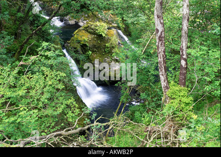 Colwith Kraft am Fluß Brathay, in der Nähe von Elterwater in der Lake District National Park, UK Stockfoto