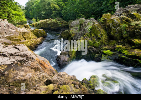 Fluß Brathay bei Skelwith Kraft in der Nähe von Skelwith Brücke in der Lake District National Park, UK Stockfoto