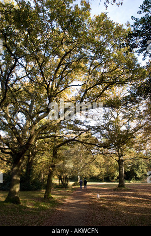 Herbstliche Aussicht auf gemeinsame Southampton Stockfoto