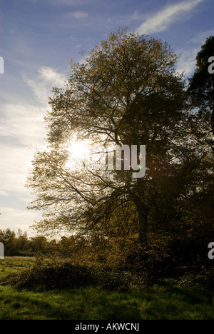 Herbstliche Aussicht auf gemeinsame Southampton Stockfoto