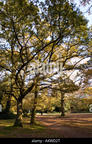 Herbstliche Aussicht auf gemeinsame Southampton Stockfoto