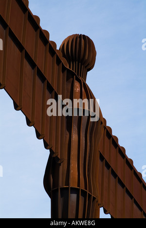 dh Engel des North NEWCASTLE NORTHUMBRIA Antony Gomleys Metall Skulpturen geflügelte Engel Nord-England-Symbol Stockfoto