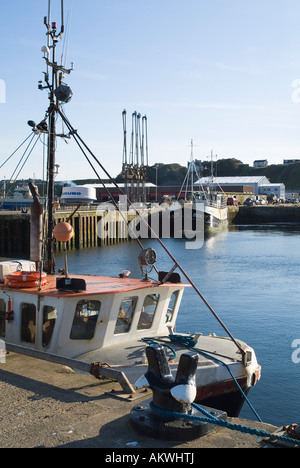 dh SCRABSTER CAITHNESS Boot Fischtrawler in Scrabster Harbour Stockfoto