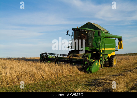 dh HARVESTING UK John Deere Mähdrescher Schneiden Gerste Orphir Orkney Feldhäcksler schottland ernten Stockfoto