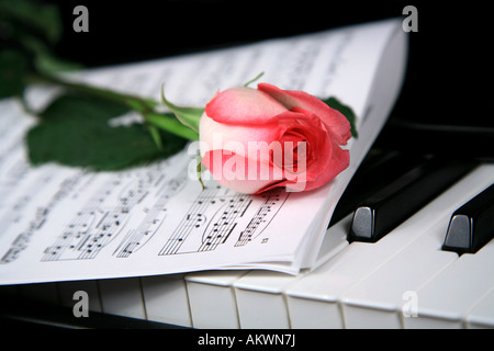 Rosa Rose auf Klavier-Tastatur Stockfoto