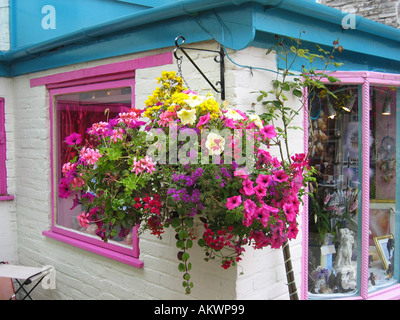 bunte Blumenampel Glastonbury Stadtzentrum Stockfoto
