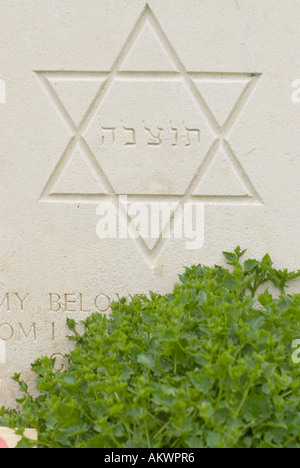 Frankreich, Normandie, Bayeux, Bayeux britischen Soldatenfriedhof und Gedenkstätte Stockfoto