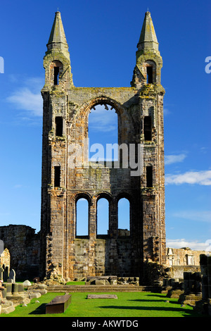 East Gable Ruinen der St. Andrews Cathedral in Fife, Schottland, Großbritannien Stockfoto