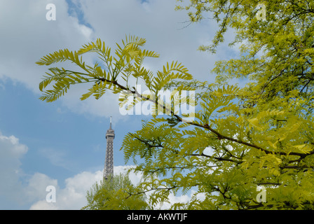 Frankreich, Paris, Eiffelturm mit Bäumen und Blüten Stockfoto