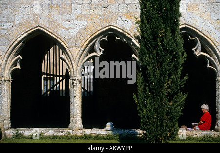 Frankreich, Midi-Pyrenäen, Gers, La Romieu, ehemaligen Kreuzgang 14. Jahrhundert Stiftskirche Saint-Pierre, Stockfoto