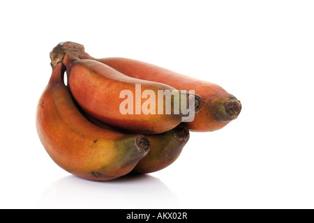 Rosenstrauss rote Bananen, Nahaufnahme Stockfoto