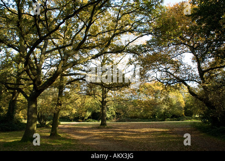 Herbstliche Aussicht auf gemeinsame Southampton Stockfoto