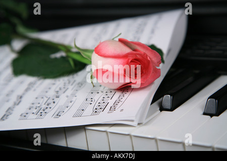 Rosa Rose auf Klavier-Tastatur Stockfoto