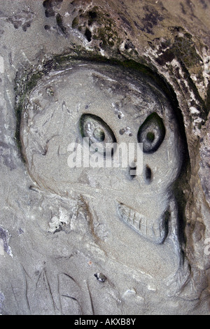 Petroglyphen in der Molasse-Felsen am Ueberlinger Steilküste, Bodensee, Grafschaft von Überlingen am See, Baden-Wuert Stockfoto