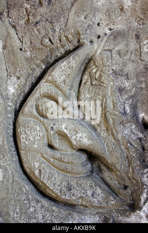 Petroglyphen in der Molasse-Felsen am Ueberlinger Steilküste, Bodensee, Grafschaft von Überlingen am See, Baden-Wuert Stockfoto