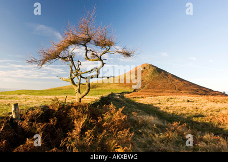 Nähe Topping, North Yorkshire, Landschaft, Stockfoto