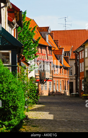 Unteren Ohlingerstrasse im alten Teil der Stadt Lüneburg, Niedersachsen, Deutschland Stockfoto