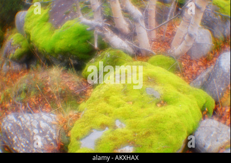 Chibiny Berge befinden sich in Russland im Gebiet Murmansk. Kola-Halbinsel, Russland Stockfoto