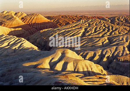 Dünen im National park Altyn Emel Kasachstan Stockfoto