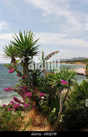 Strand von Santa Margherita di Pula, Sardinien, Italien Stockfoto