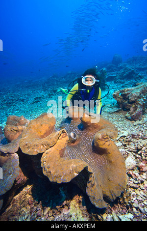 Taucher und Riesenmuschel, Killer Clam (Tridacna Gigas), in der nationalen Unterwasser Marine park Bunaken, Indonesien. Stockfoto