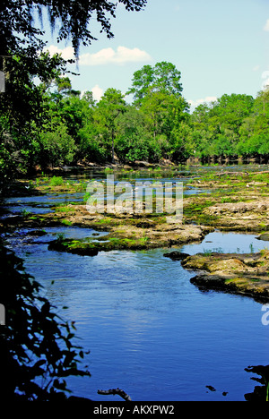 Florida große Fischschwärme State Park Rapids Niedrigwasser ausgesetzt Felsen Findlinge Stockfoto