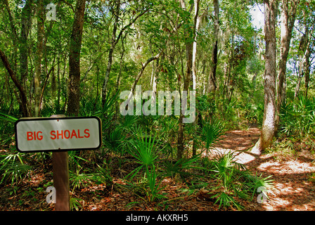 Florida Suwannee River große Fischschwärme State Park-Wanderweg Stockfoto