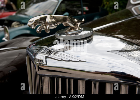 Kühlerfigur Jaguar, Oldtimer Treffen, Schwetzingen, Baden-Württemberg, Deutschland Stockfoto