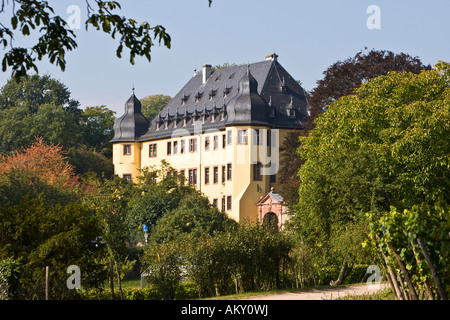 Schloss Vollrads, Rheingau (Rheingau), Hessen, Deutschland Stockfoto