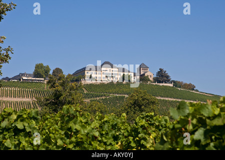 Schloss Johannisberg, Weingut, Rheingau (Rheingau), Hessen, Deutschland Stockfoto