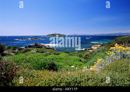 Frankreich, Var, Île des Embiez, Ile du Grand Rouveau Stockfoto