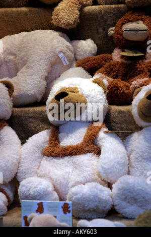 Teddybär im Schaufenster Stockfoto