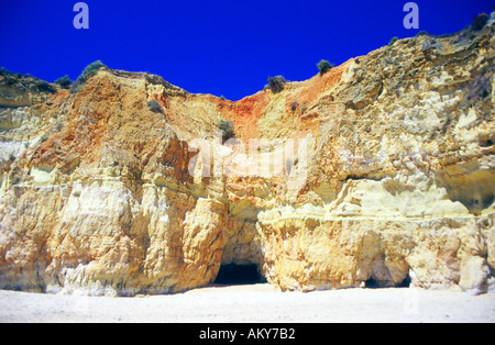 Klippen zwischen Praia de Rocha und Praia de Vau Algarve Portugal Stockfoto