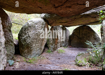 Die sieben Stein Häuser Sieben Steinhaeuser eine Gruppe von Dolmes in Lueneburg Heath in den Truppenübungsplatz Bergen-Hohne NATO niedriger Stockfoto