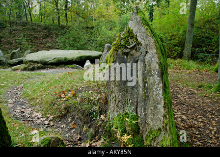 Die sieben Stein Häuser Sieben Steinhaeuser eine Gruppe von Dolmes in Lueneburg Heath in den Truppenübungsplatz Bergen-Hohne NATO niedriger Stockfoto