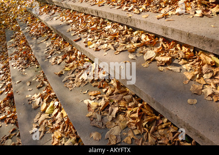 Treppen mit Blätter Stockfoto