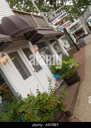 Ein Geschäft Murdicks Fudge und Eis in den kleinen Vineyard Haven, Martha es Vineyard Massachusetts USA verkauft Stockfoto