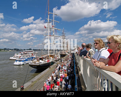 viele Menschen Touristen beobachten die Großseglern im Fluss Schelde in Antwerpen Belgien Stockfoto