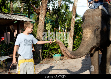 Junge Touristen füttern Elefanten, Phuket, Thailand Stockfoto