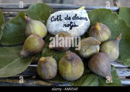 Verschiedene Arten von Feigen auf einer im Freien Stand. Stockfoto