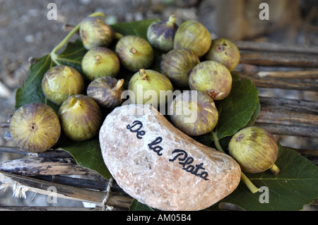 Verschiedene Arten von Feigen auf einer im Freien Stand. Stockfoto